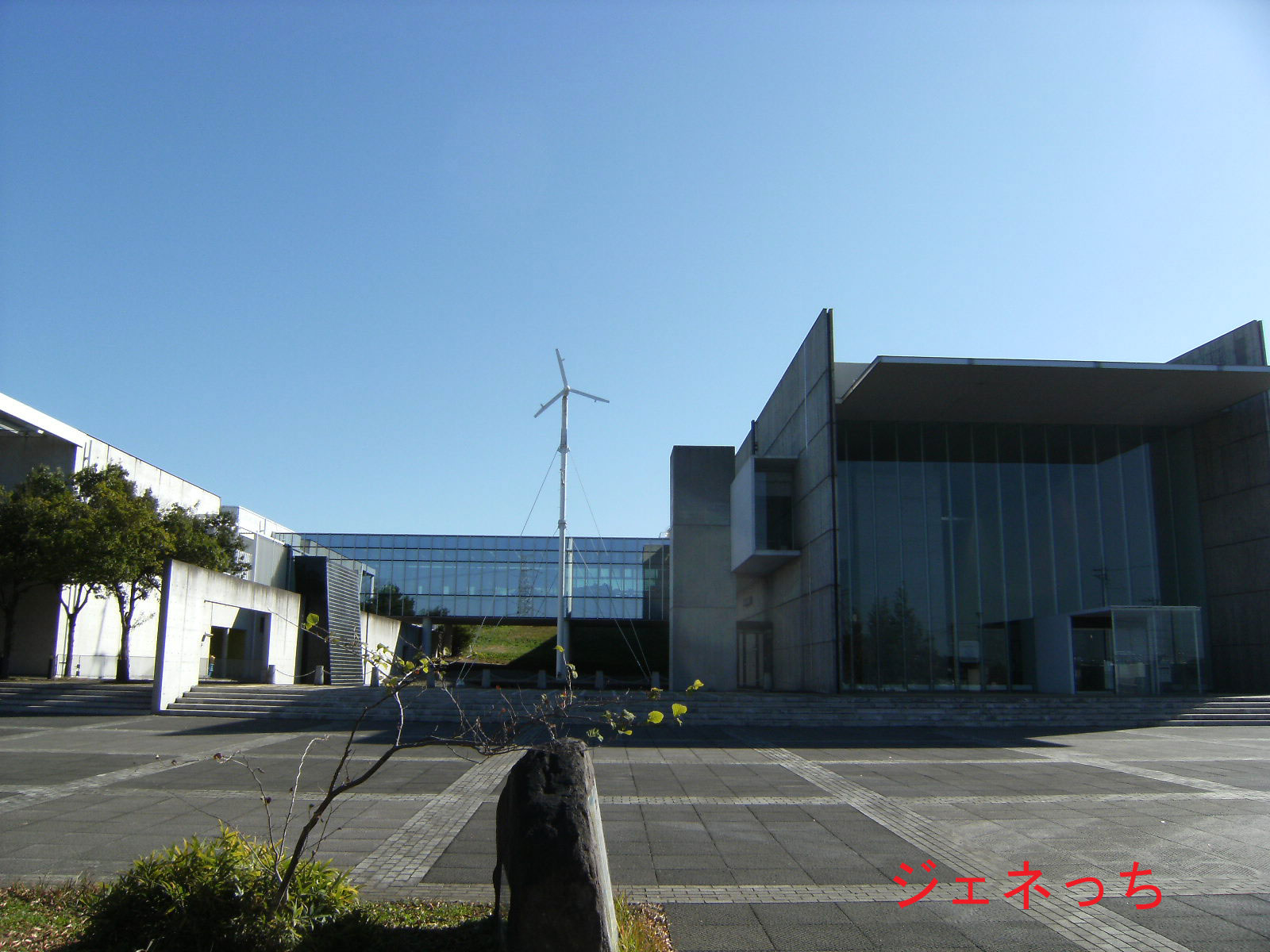 環境科学国際センター